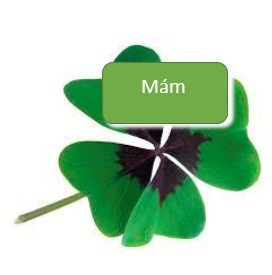 MamFP